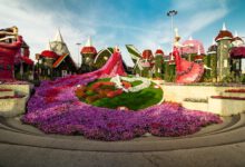 גן פארק הפרחים של דובאי - כרטיסים ומידע למטייל