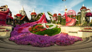 גן פארק הפרחים של דובאי - כרטיסים ומידע למטייל